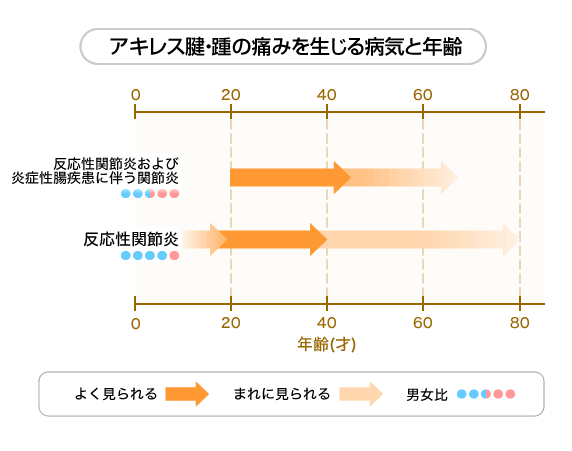 アキレス腱・踵の痛みを生じる内科の病気と年齢、男女比